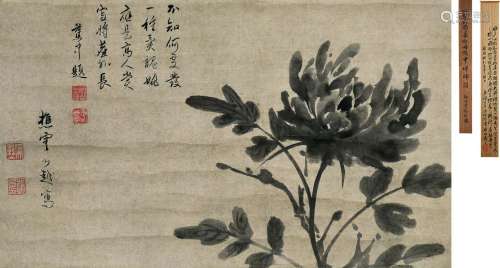 东皋心越（1639～1695） 牡丹 立轴 水墨纸本