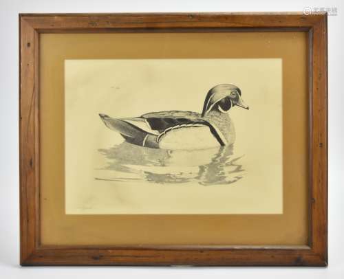 Frank Hulick: Wood Duck Lithograph