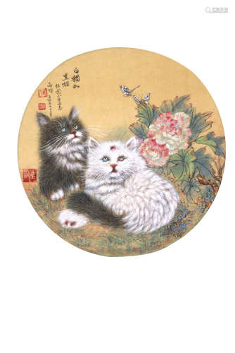 魏绍靖   白猫和黑猫