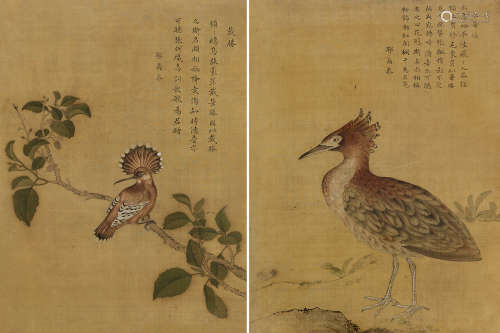 鄂尔泰（1677～1745）（题） 异禽图 镜框 设色绢本