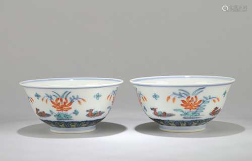 A Pair of Chinese Dou-Cai Porcelain Bowls