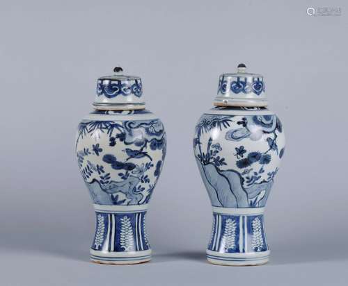 A Pair of Chinese Blue and White Porcelain Vases