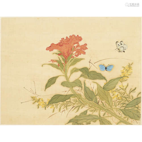 ALBUM OF TWELVE PAINTINGS OF INSECTS AND FLOWERS