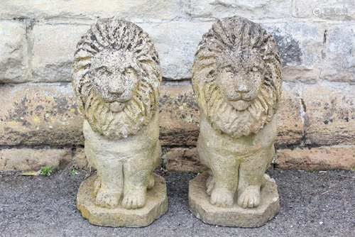 A Pair of Stone Garden Lion Figures: The seated figures measure approx 24 w x 48 cms h