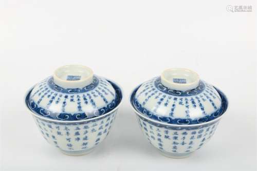 A Pair of Chinese Blue and White Porcelain Tea Cups with Covers