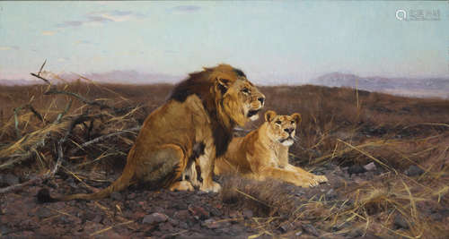 Löwen in der Steppe 30 1/4 x 56 1/2in (76.9 x 143.5cm) Wilhelm Friedrich Kuhnert(German, 1865-1926)