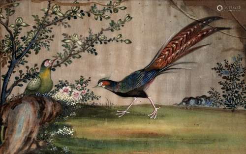 Three rice paper drawings Chinese, 19th/20th Century watercolours, each depicting exotic birds