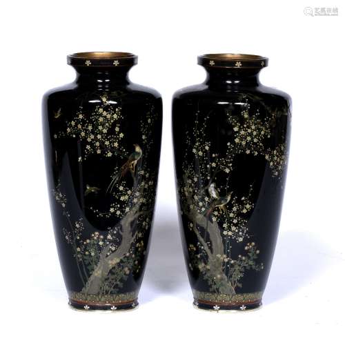 Pair of cloisonne vases Japanese, Meiji period in the Hayashi Kodenji style, with birds in plum