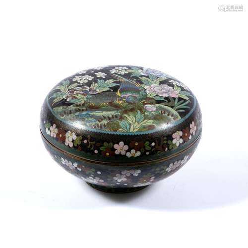 Cloisonne box and cover Chinese or circular form, decorated to the top with two pheasants in a