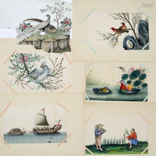 Folio of Pith pictures Chinese mostly of birds and including some of naval interest 14 in total