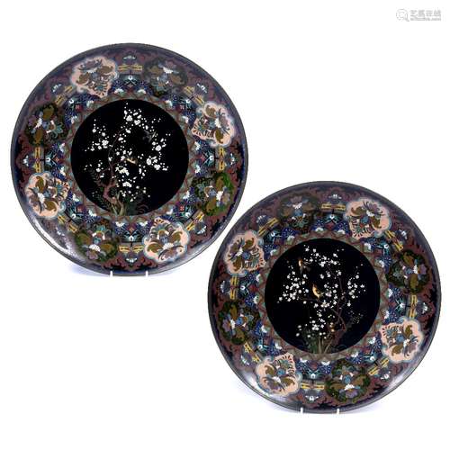 Pair of cloisonne chargers Japanese decorated with a central circular panel with tree blossom and