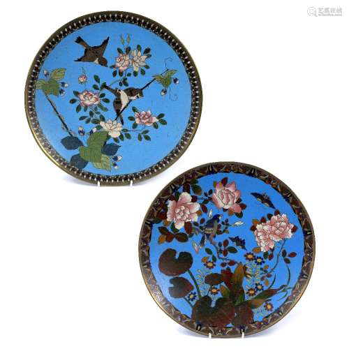 Two cloisonne chargers Japanese, late 19th Century each with birds, foliage and flowers
