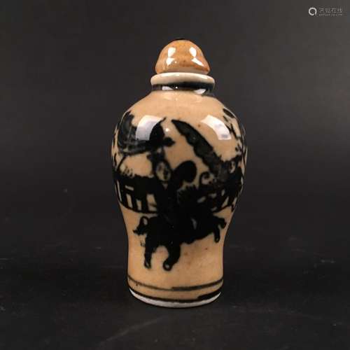 Chinese Porcelain Snuff Bottle