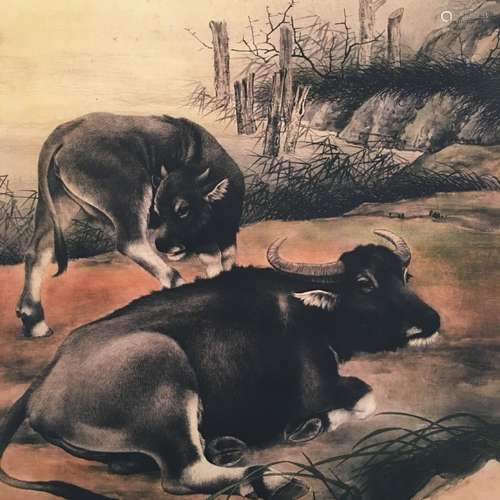 Chinese Hanging Scroll of 'Buffalo' Painting