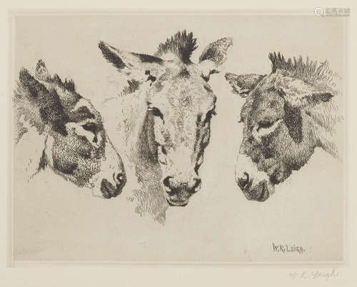 Burros William Robinson Leigh(1866-1955)