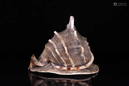 17-19TH CENTURY, A TANGGUAN SHELL, QING DYNASTY