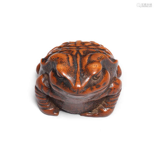 By Mitani Goho, Aki Province, late 18th/early 19th century A large boxwood netsuke of a toad