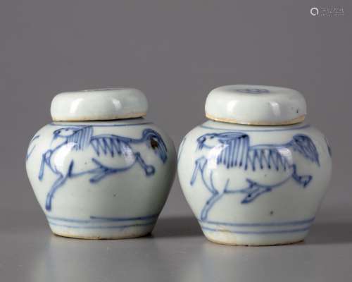 Two small Chinese blue and white jars