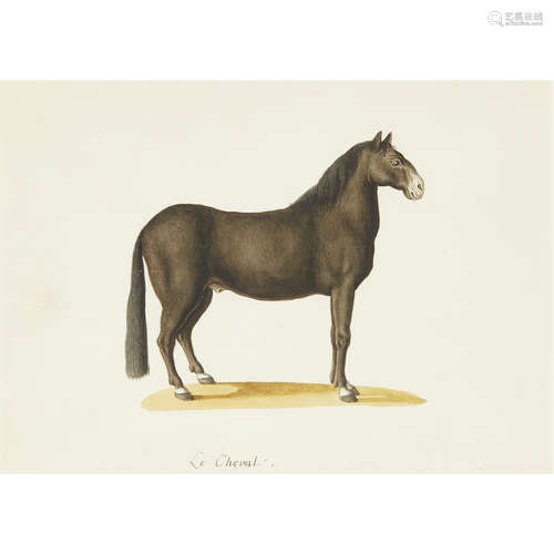 ATTRIBUTED TO FRANZ ANTON VON SCHEIDEL (AUSTRIAN 1731-1801) LE CHEVAL Inscribed, watercolour 27.