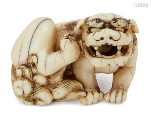 A Japanese ivory netsuke, 18th century, finely carved as a recumbent Buddhist lion with a ball in