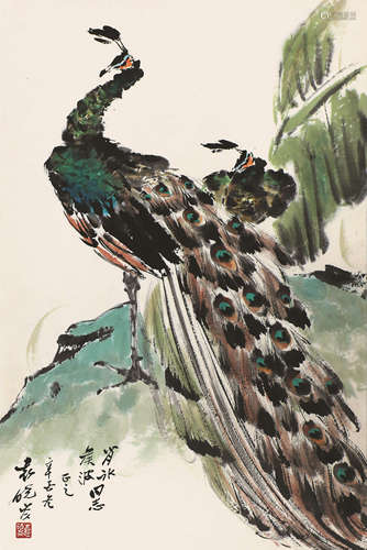 袁晓岑(1915-2008) 孔雀 设色纸本 立轴