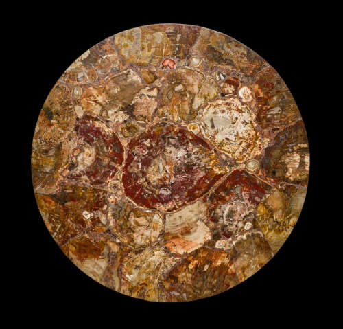 Petrified Wood Intarsia Tabletop