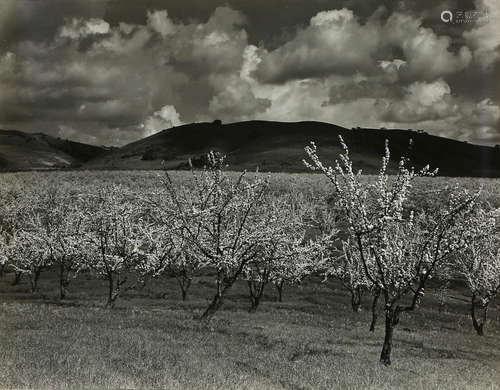 Ansel Adams (American, 1902-1984), 