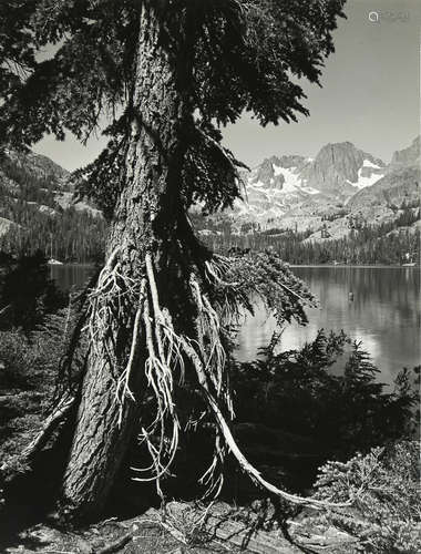 Ansel Adams (American, 1902-1984), 