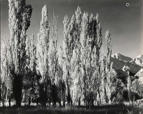 Ansel Adams (American, 1902–1984), 