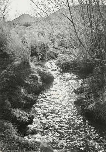 Ansel Adams (American, 1902-1984), 