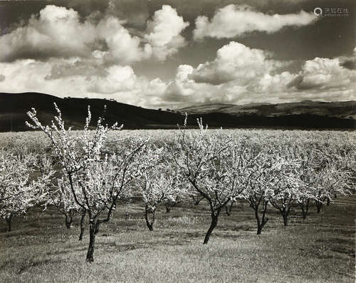 Ansel Adams (American, 1902-1984), 