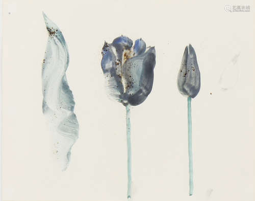 Raymond Saunders (American, b. 1934), Violet Tulip, watercolor and graphite on paper, sheet: 11