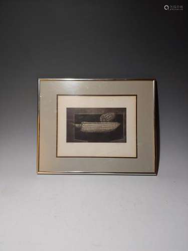 Koichi Sakamoto Artist Proof Etching of Corn