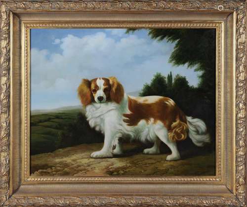 Cavalier King Charles Dog Pet Portrait by Shipley