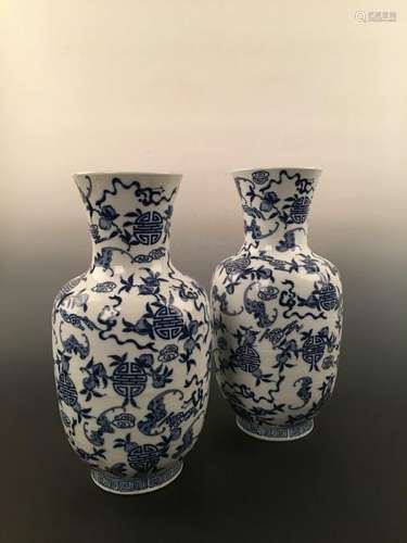 Chinese Blue & White Pair Vase