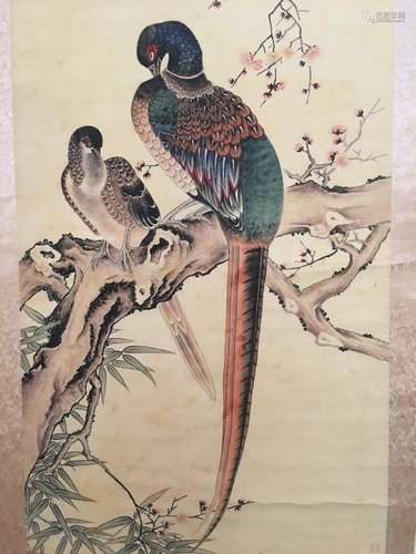 Chinese Hanging Scroll of 'Peacocks' Painting