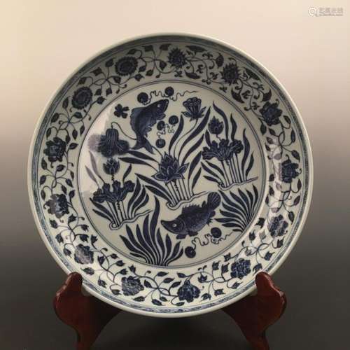 Chinese Blue &White Of Fish&Lotus Pattern Decorated