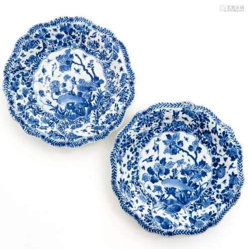 A Pair of Blue and White Decor Plates