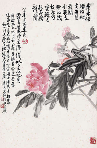 冯建吴 芍药