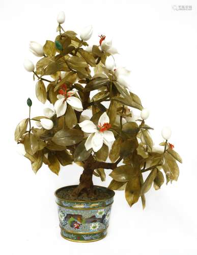 A Chinese bonsai