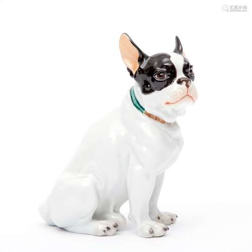 A Meissen porcelain dog figure of a French bulldog