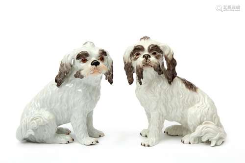 Two Meissen porcelain Bolognese terrier dog figures