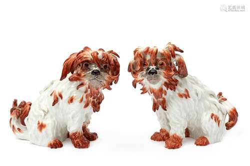 Two Meissen porcelain Bolognese dog figures