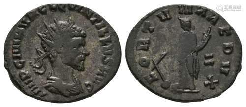 Quintillus - Fortuna Antoninianus