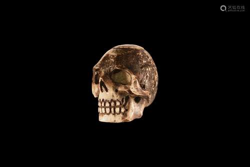 Post Medieval Bone Skull Model