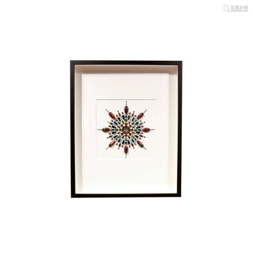 LIMITED EUCHROMA PRISM INSECT STUDY, FRAMED SHADOWBOX