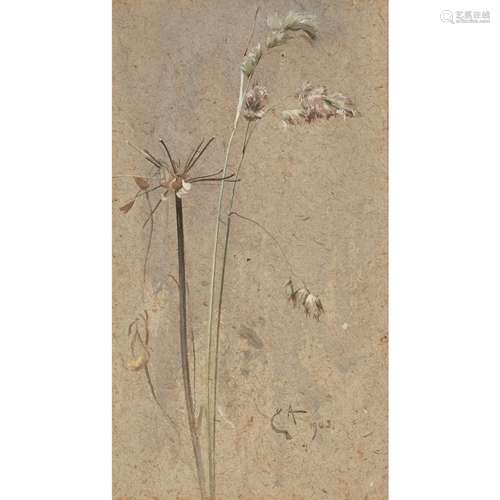 EDWIN ALEXANDER R.S.A., R.S.W., R.W.S. (SCOTTISH 1870-1926)COCKSFOOT GRASS Signed with a monogram