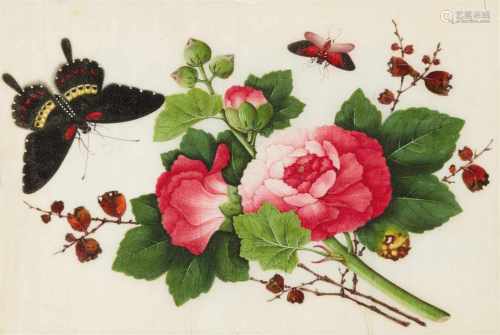Youqua-Studio . Kanton. 19. Jh.Album mit zwölf botanischen Malereien mit Darstellungen von Blumen