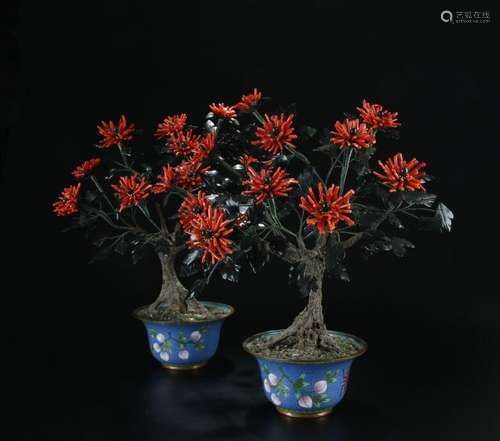 x2 coral/jade tree with cloisonne planter bonsais