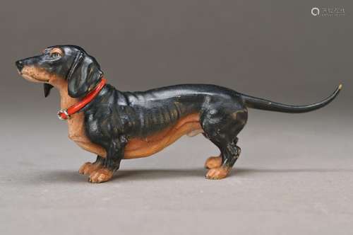 Vienna Bronze, 20th c., dachshund, painted, approx. 6.5